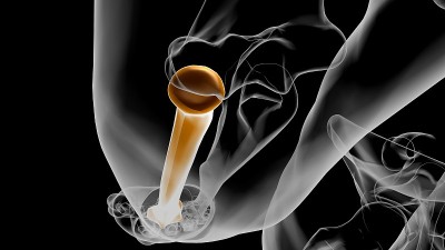 人体骨骼解剖桡骨3D渲染