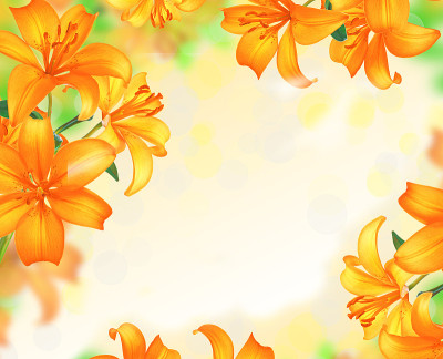 百合花边界设计。夏花