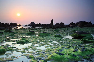 野生Runrise海滩，绿色苔藓，cothach，士兵，越南