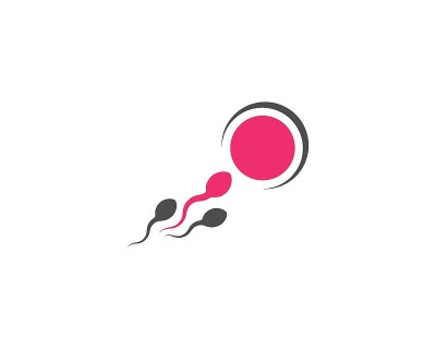 精子向量