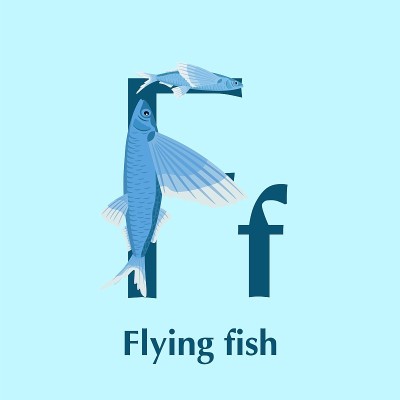 海洋动物字母表。ABC的儿童。字母F。