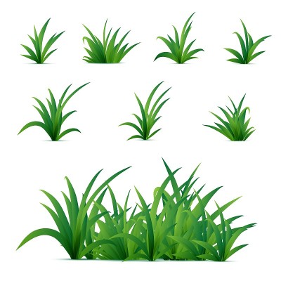 草
