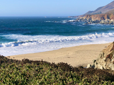 Garrapata