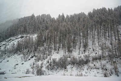 瑞士冬天下雪的泽马特和浓雾