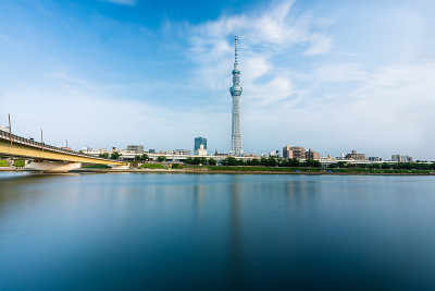 住田公园的东京天空树塔