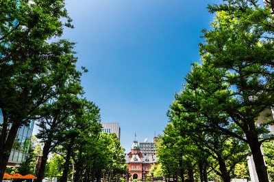 前北海道政府大楼