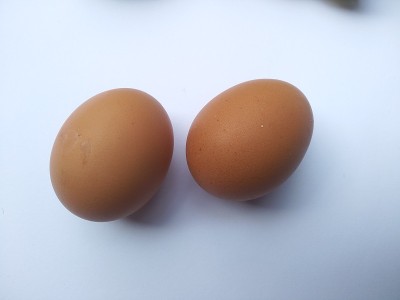两个鸡蛋