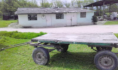马车