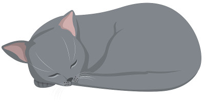 熟睡的俄罗斯蓝猫。
