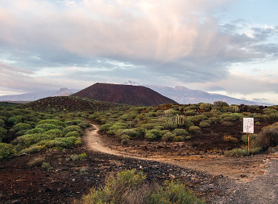 泰德火山