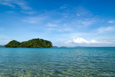 海