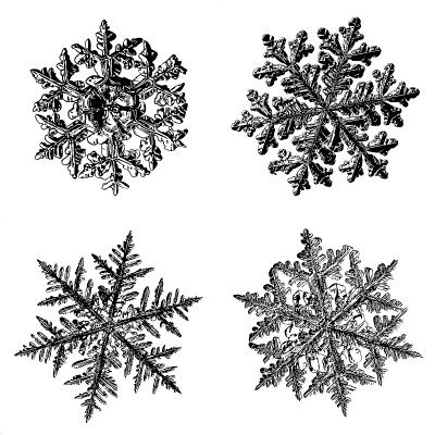 白色背景上的四朵雪花