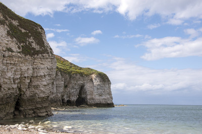 在Flamborough悬崖，松软的白垩峭壁上布满了洞穴