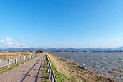 芝山形里曼的风景