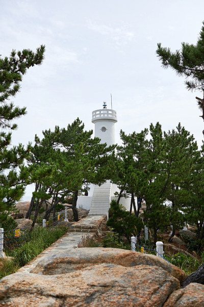 岩石海岸。