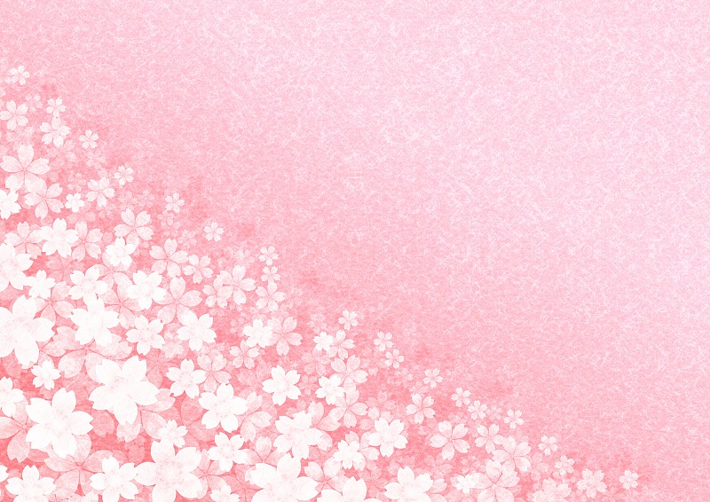 日本纸上重叠盛开的樱花插图。