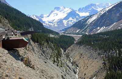Sunwapta山谷的空中步道