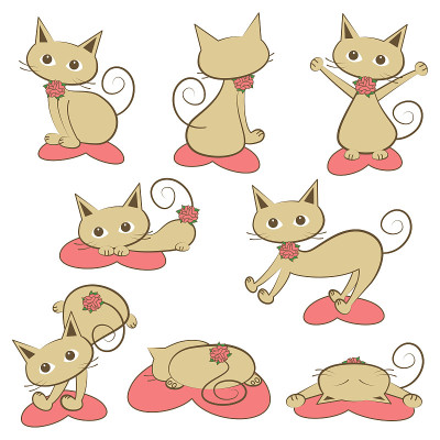 猫的各种姿势