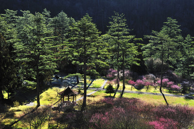 武陵农城景区拍摄