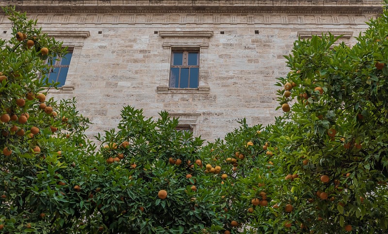 具有文艺复兴元素的历史哥特式建筑——Palau de la generitat，西班牙巴伦西亚社区的