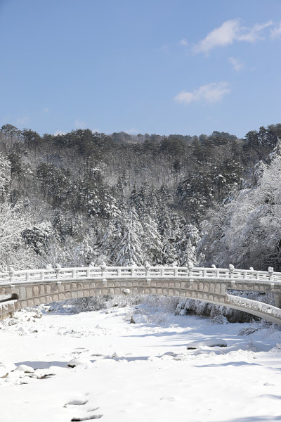 美丽的冬天的风景。雪山、树木和桥景(韩国江原道御田山国家公园)