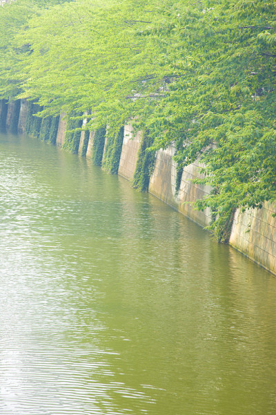 目黑河