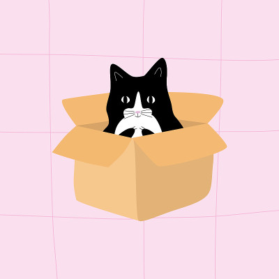 可爱的黑白相间的猫坐在一个纸箱在粉红色的背景。