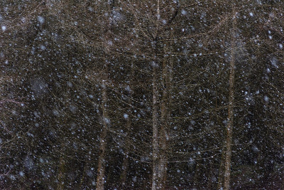2019年1月，威尔士Brecon Beacons大雪