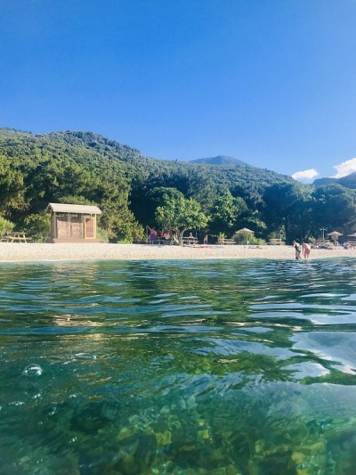 海