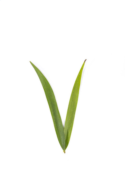 近一点