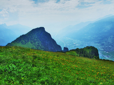 阿彭策尔阿尔卑斯山脉山坡上的高山牧场和草地