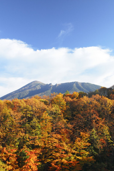 五颜六色的叶子和岩手山
