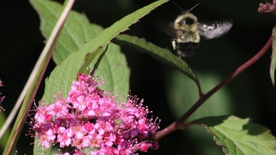 着陆