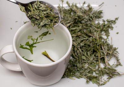 用于药茶的干艾草。苦艾酒和侧柏酮