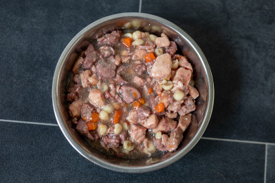 银碗里喂猫狗的湿食物