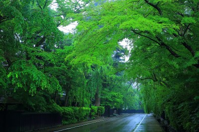 秋田夏日广场一角