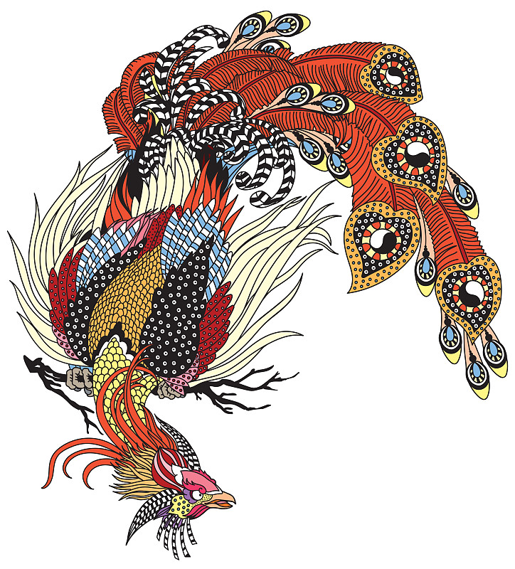 中国的凤凰或凤凰神奇的鸟