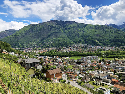 Bellinzona, Monte Carasso和Ticino河谷的全景