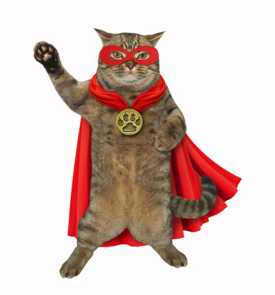 猫是一个超级英雄