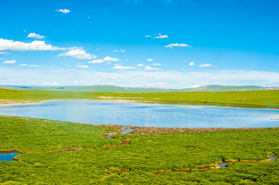 三江源自然保护区，海拔最高的天然湿地，西藏，中国