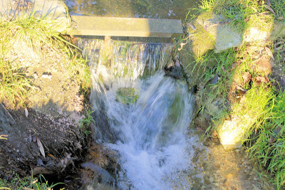 水