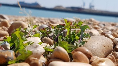 英国多佛特写摄影2019