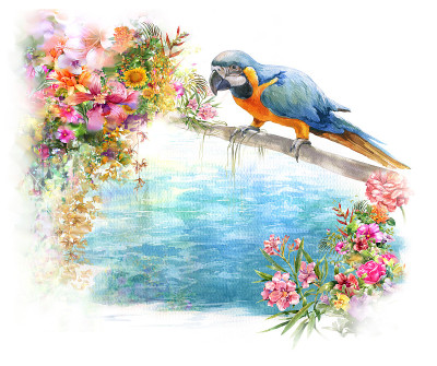 在白色背景上绘有鸟和花的水彩画