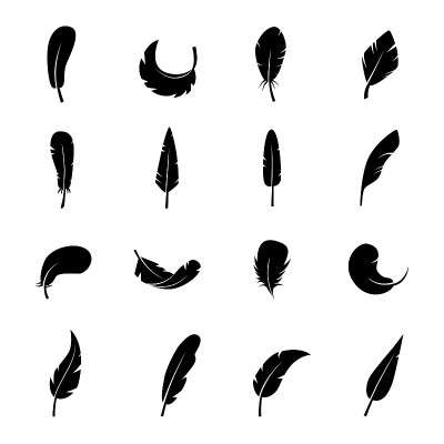 Feather silhouette on white background. Vector art