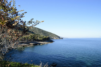 海岸