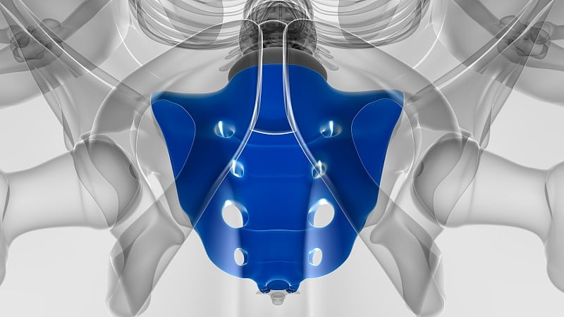 人体骨骼解剖骶骨3D渲染