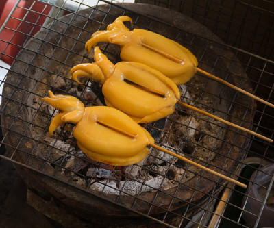 烤枪乌贼