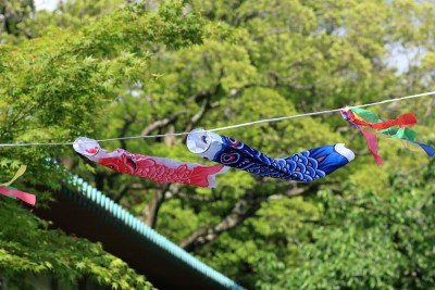 Koinobori