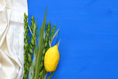 犹太人住棚节。传统符号(四种):Etrog, lulav, hadas, arava