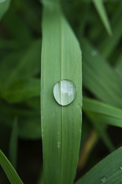 雨滴